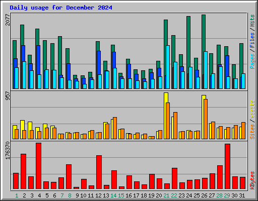 Daily usage for December 2024