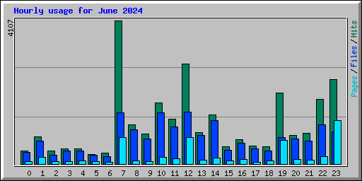 Hourly usage for June 2024