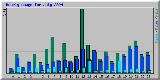 Hourly usage for July 2024