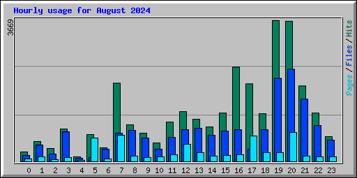 Hourly usage for August 2024