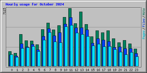 Hourly usage for October 2024