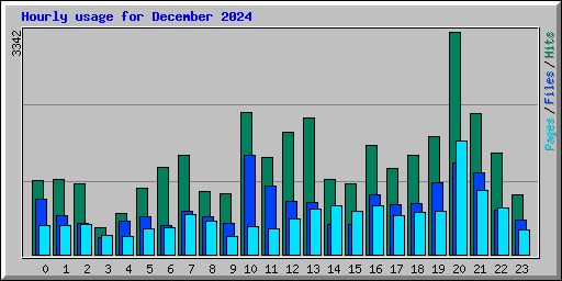 Hourly usage for December 2024