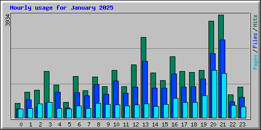 Hourly usage for January 2025