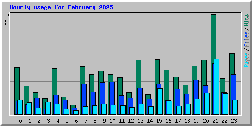 Hourly usage for February 2025
