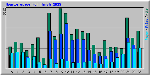 Hourly usage for March 2025